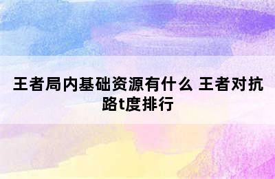 王者局内基础资源有什么 王者对抗路t度排行